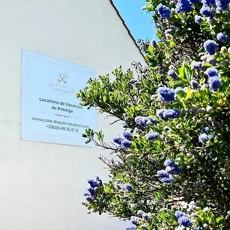 Apartman Coc - Au Gre Du Vent Wissant